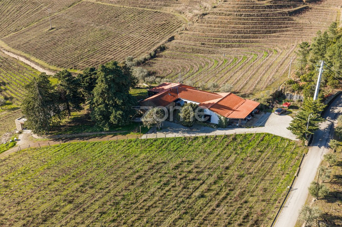 Finca in Barcos e Santa Leocadia, Viseu District, Portugal 1 - 14303661