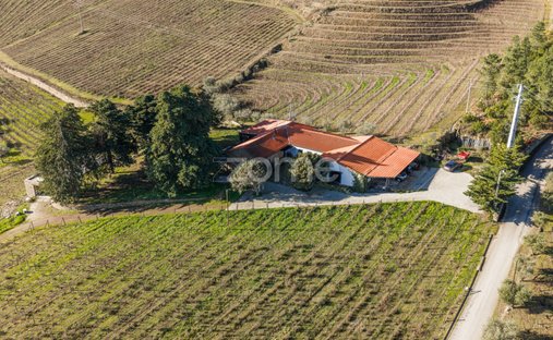 Finca in Barcos e Santa Leocadia, Viseu, Portugal 1
