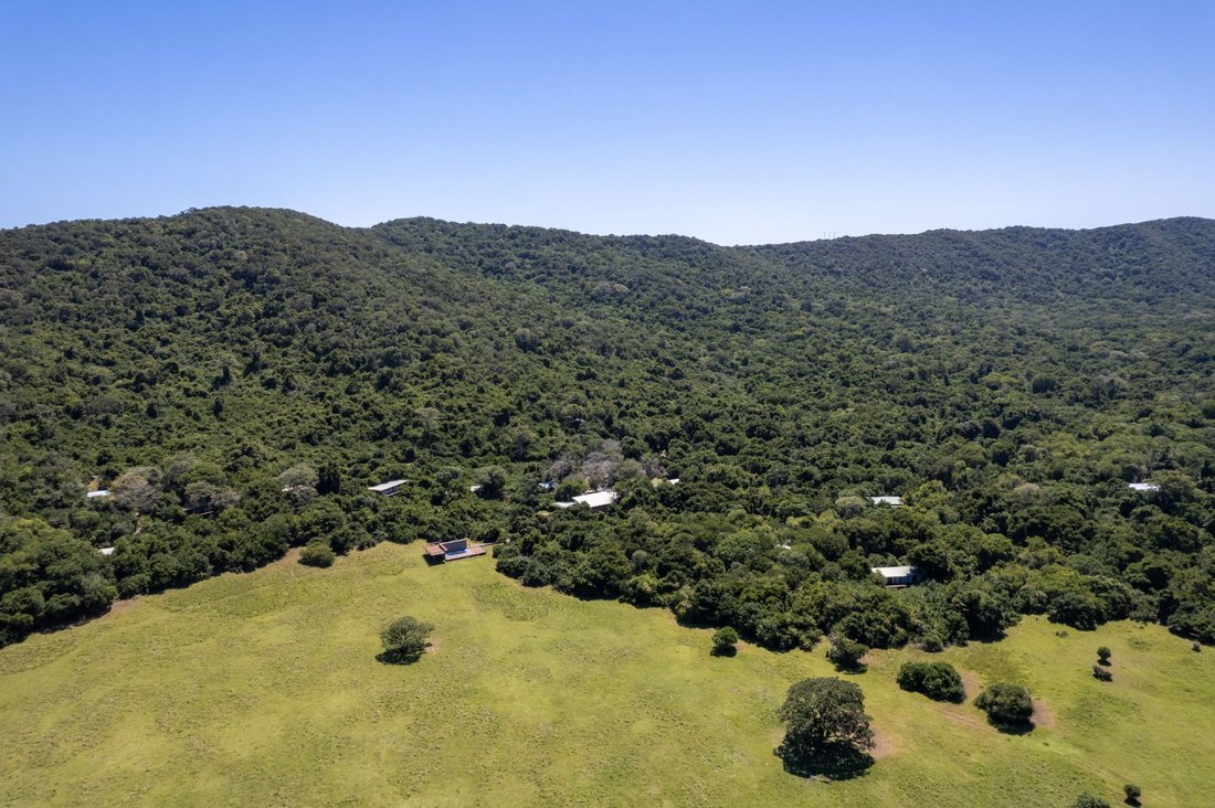 Farm Ranch in Alexandria, Eastern Cape, South Africa 1 - 16972793