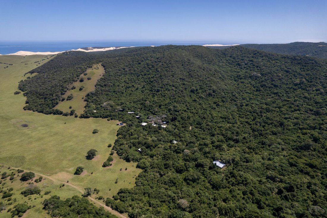 Farm Ranch in Alexandria, Eastern Cape, South Africa 4 - 16972793