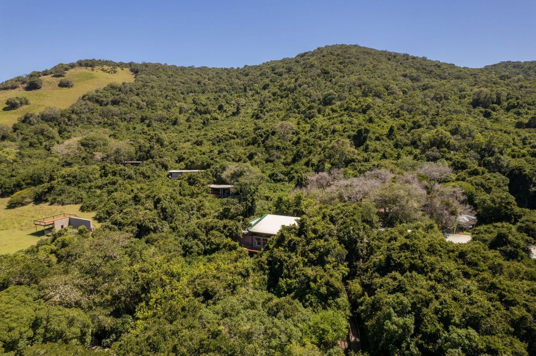 Farm Ranch in Alexandria, Eastern Cape, South Africa 2 - 16972793