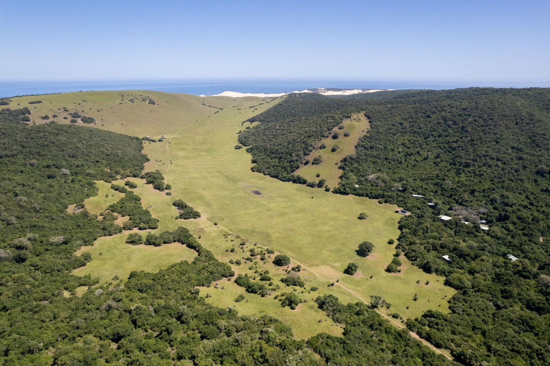 Farm Ranch in Alexandria, Eastern Cape, South Africa 3 - 16972793