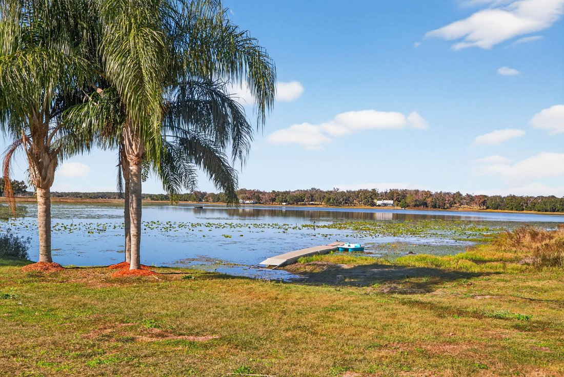 House in Dade City, Florida, United States 5 - 16974199