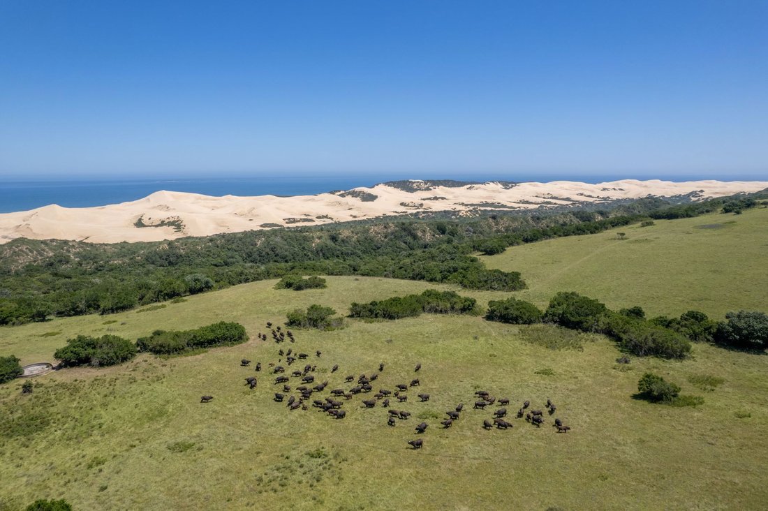 Farm Ranch in Sundays River Valley Local Municipality, Eastern Cape, South Africa 1 - 16972793