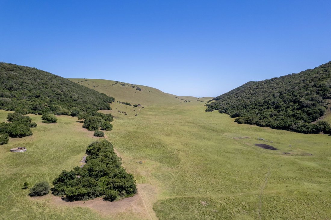 Farm Ranch in Alexandria, Eastern Cape, South Africa 5 - 16972793