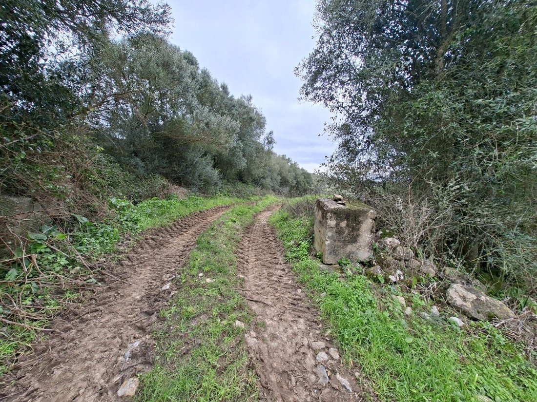 Land in Algueirao-Mem Martins, Lisbon, Portugal 5 - 16975309