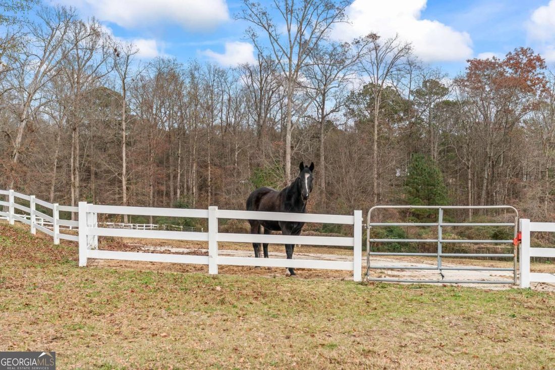 Farm Ranch in Conyers, Georgia, United States 4 - 16975296
