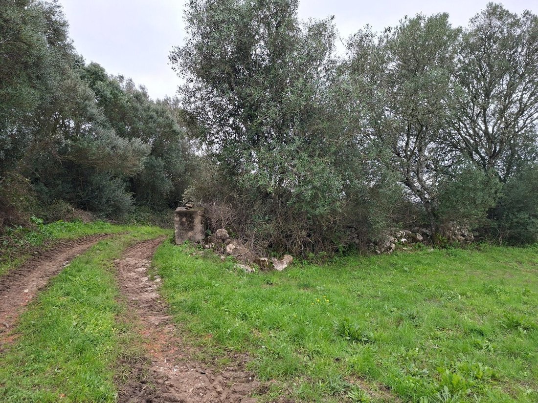 Land in Algueirao-Mem Martins, Lisbon, Portugal 4 - 16975309