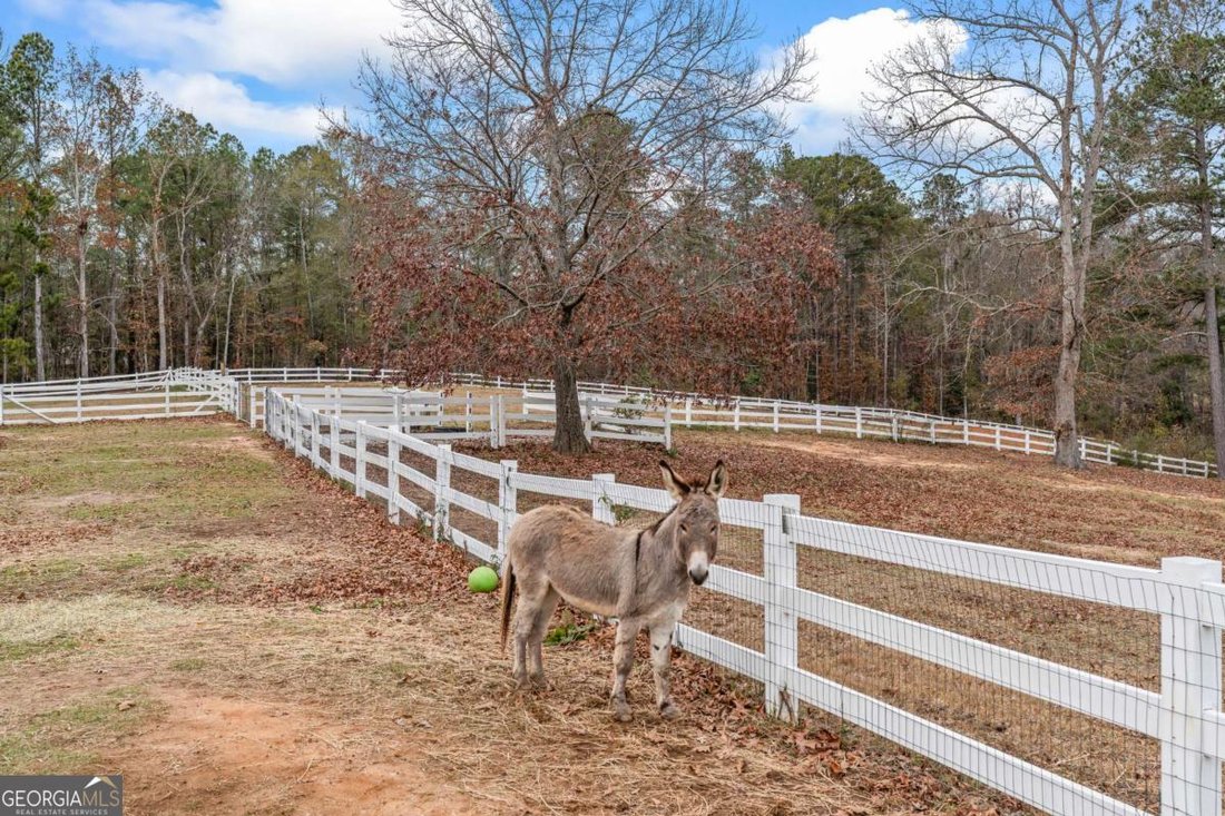 Farm Ranch in Conyers, Georgia, United States 5 - 16975296