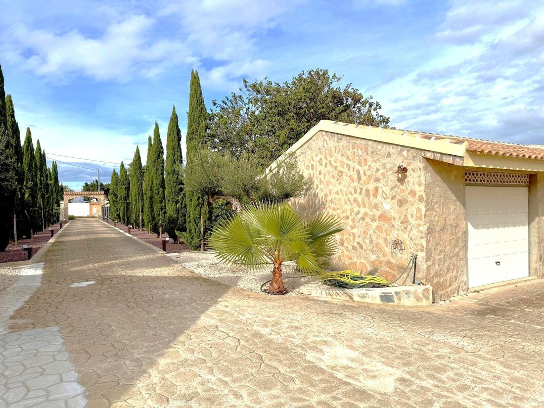 Villa in San Miguel de Salinas, Valencian Community, Spain 2 - 16973883