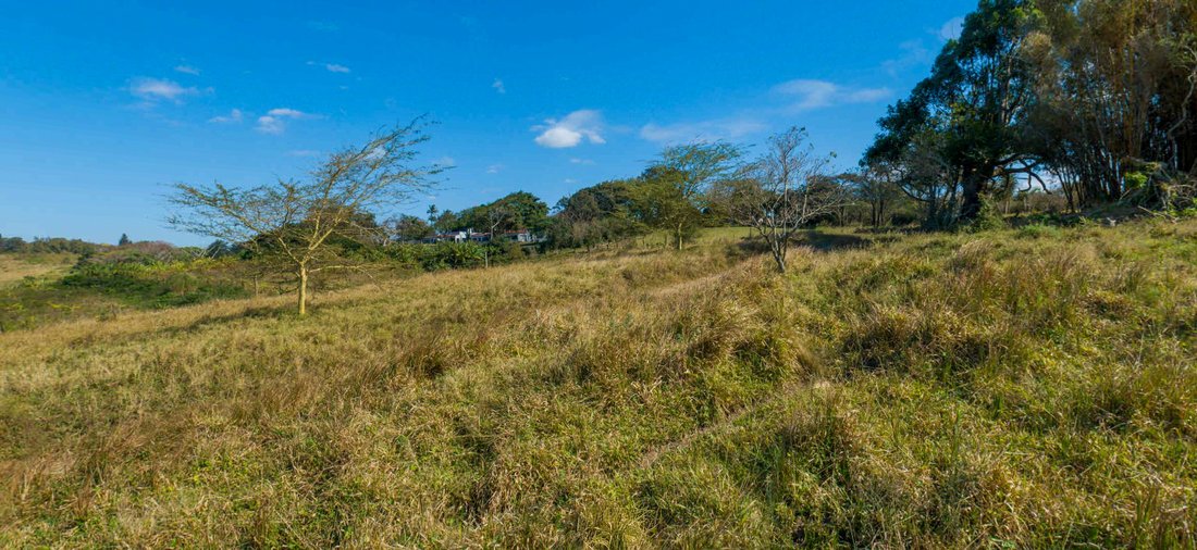 Land in Westbrook, KwaZulu-Natal, South Africa 3 - 16971414