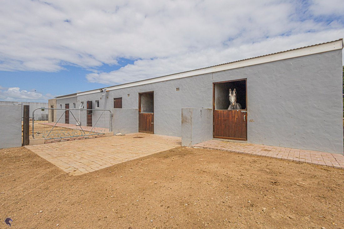 Haus in Langebaan, Westkap, Südafrika 4 - 16971390