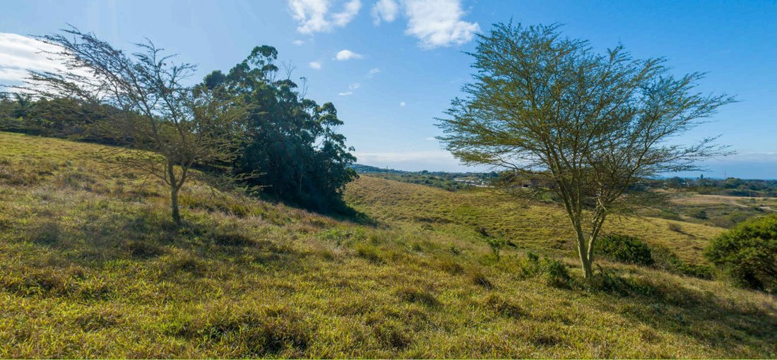 Land in Westbrook, KwaZulu-Natal, South Africa 5 - 16971418