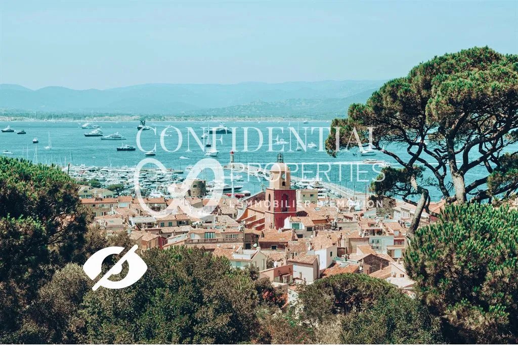 Villa in Zone Ouest Urbaine, Saint-Tropez, France 5 - 16971347