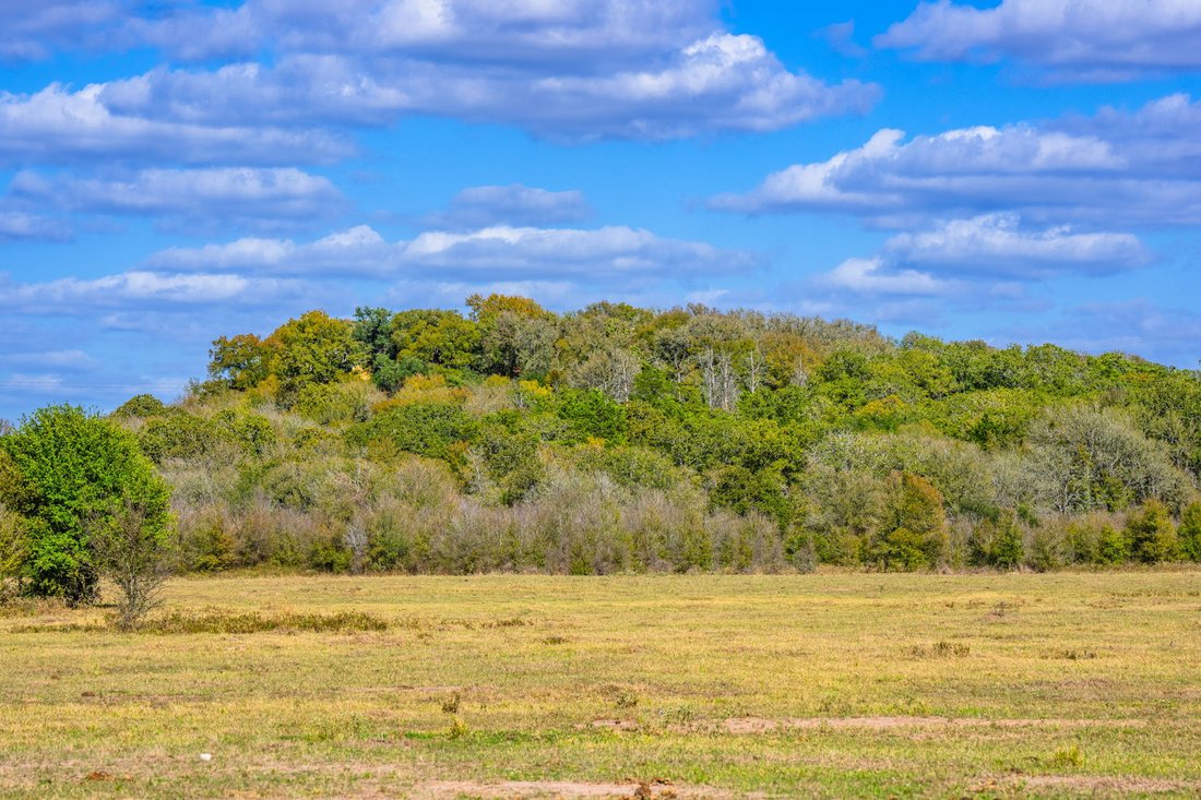 Farm Ranch in Muldoon, Texas, United States 4 - 16975745