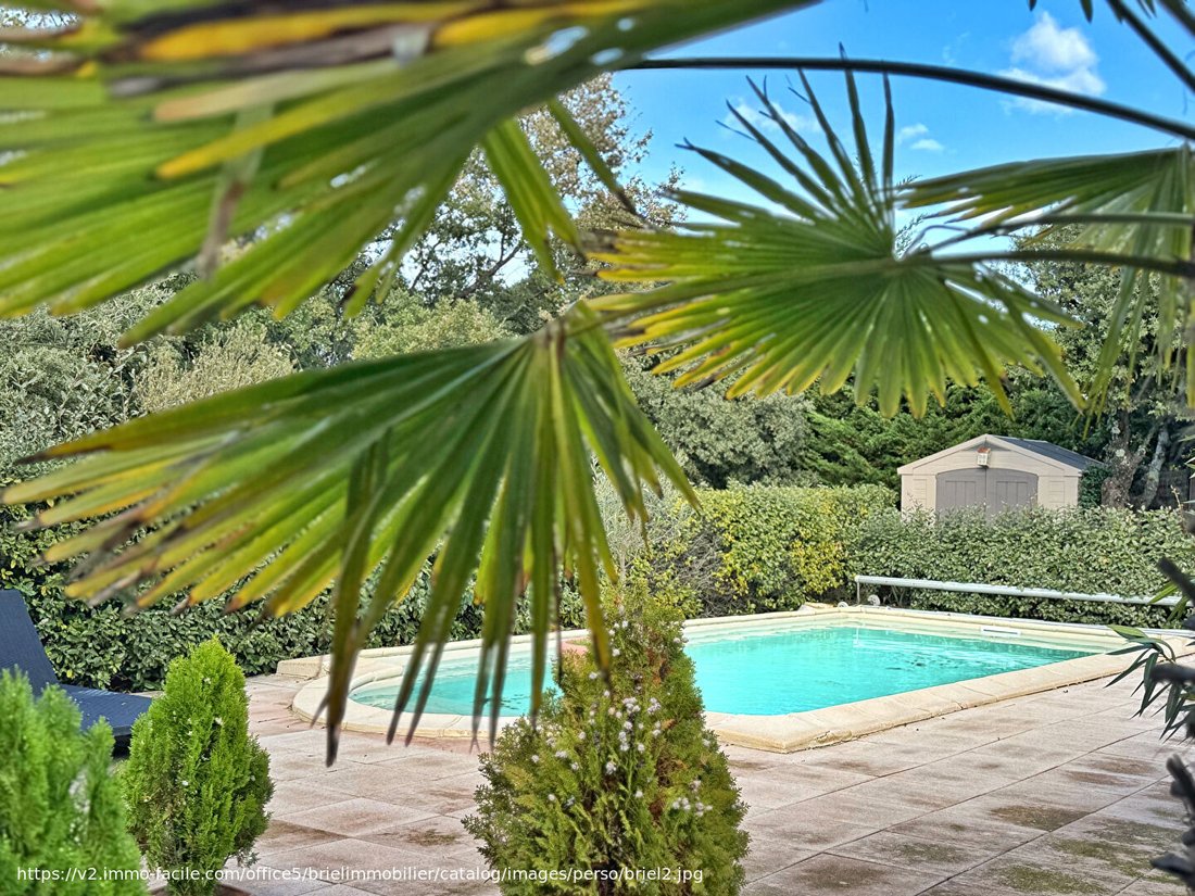 Villa in Tourtour, Provence-Alpes-Côte d'Azur, France 5 - 16975408