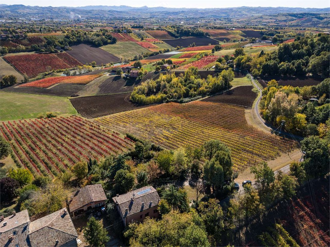 Villa in Castelvetro di Modena, Emilia-Romagna, Italy 1 - 16975318