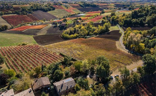 Villa a Castelvetro di Modena, Emilia-Romagna, Italia 1