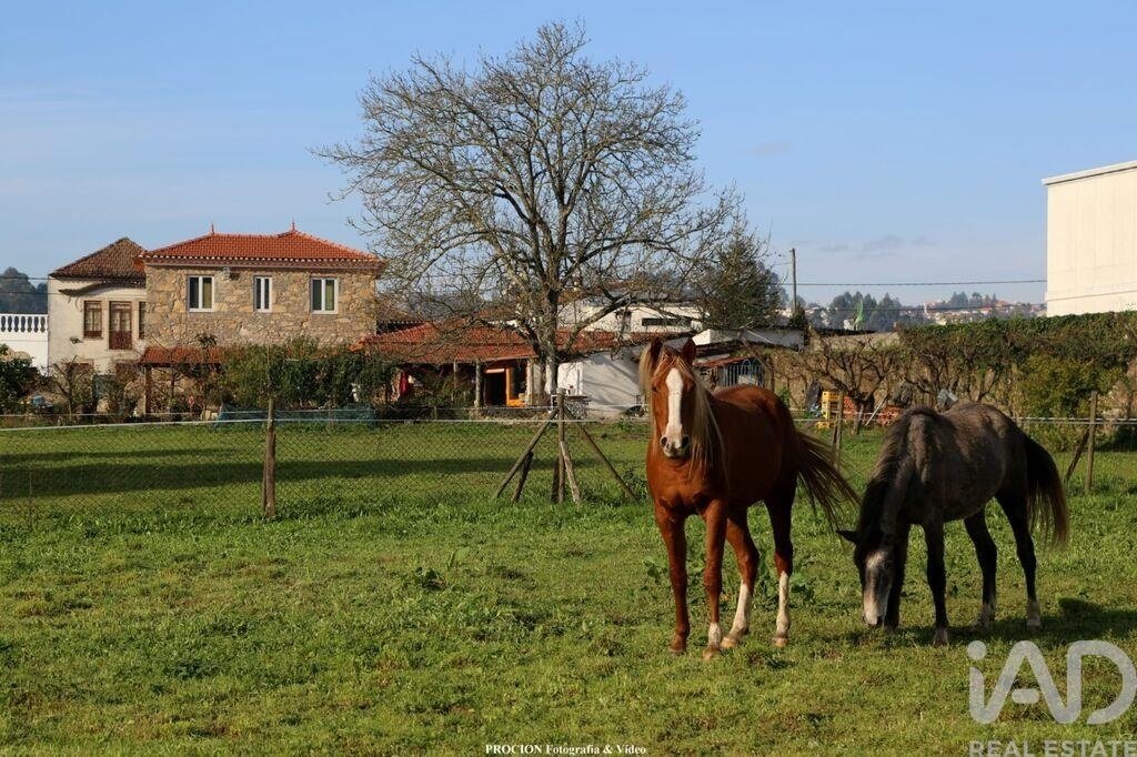 Farm Ranch in Oliveira de Azemeis, Santiago de Riba-Ul, Ul, Macinhata da Seixa e Madail, Aveiro District, Portugal 1 - 16976705