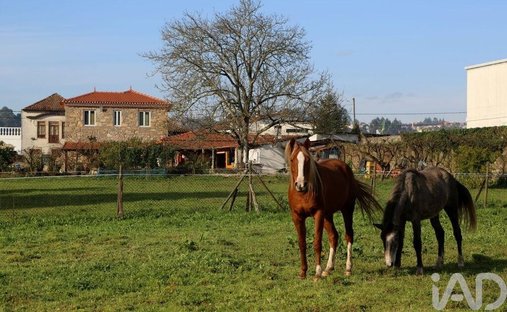 Farm Ranch in Oliveira de Azemeis, Santiago de Riba-Ul, Ul, Macinhata da Seixa e Madail, Aveiro District, Portugal 1