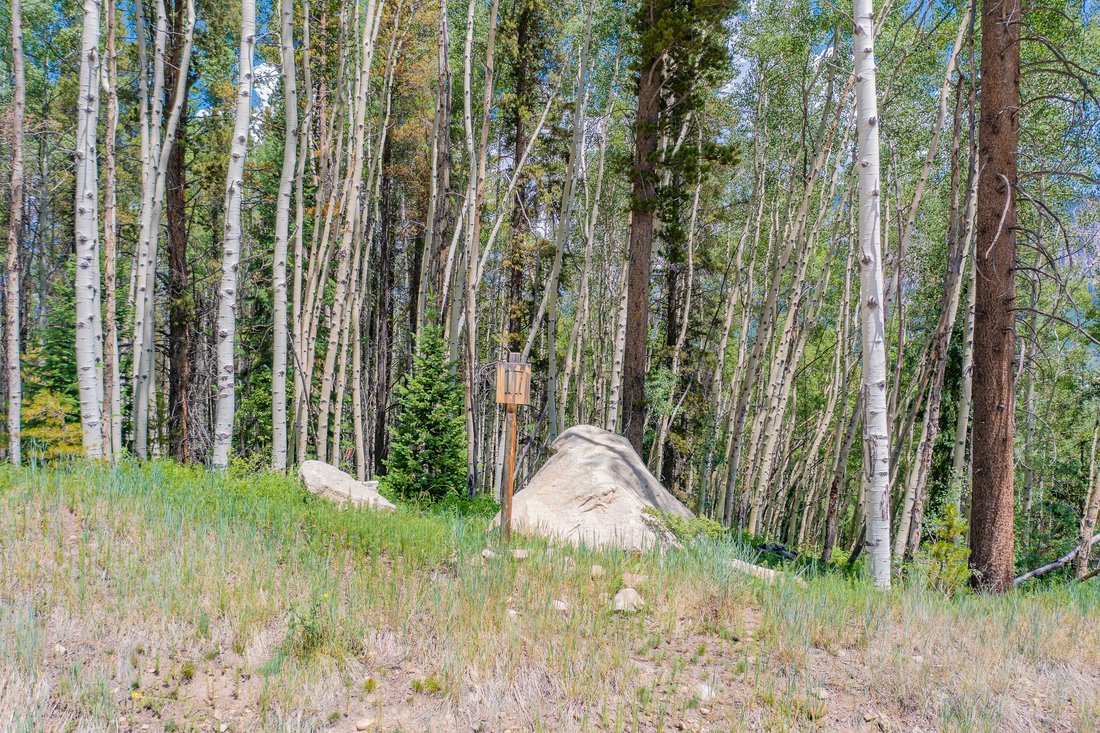 Land in Crested Butte, Colorado, United States 4 - 16976776