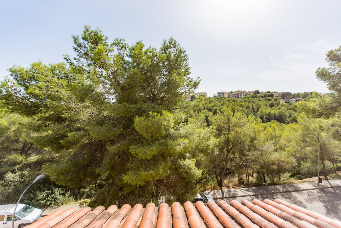 Residenza a Cas Català, Calvià, Isole Baleari 4 - 16976863