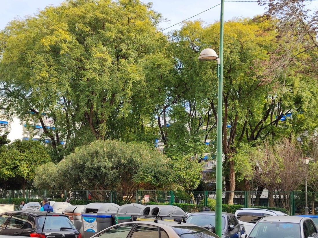 Apartment in Distrito Macarena, Seville, Spain 5 - 16957621