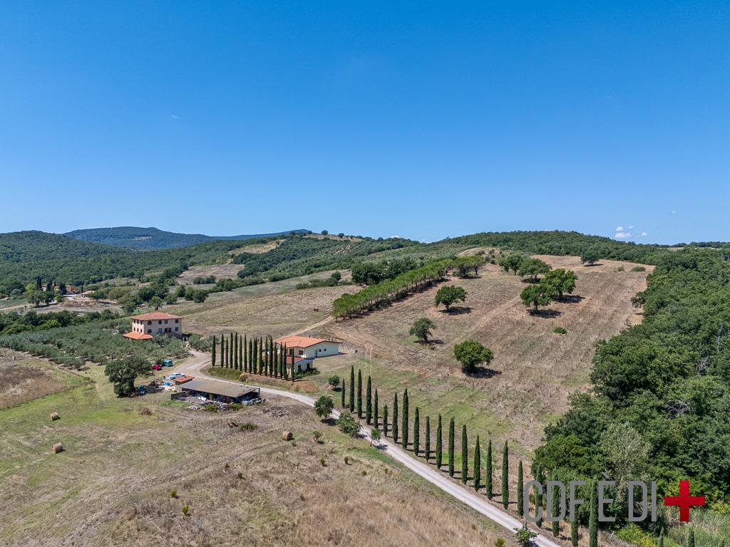 Farm Ranch in Civitella Marittima, Tuscany, Italy 3 - 16976942