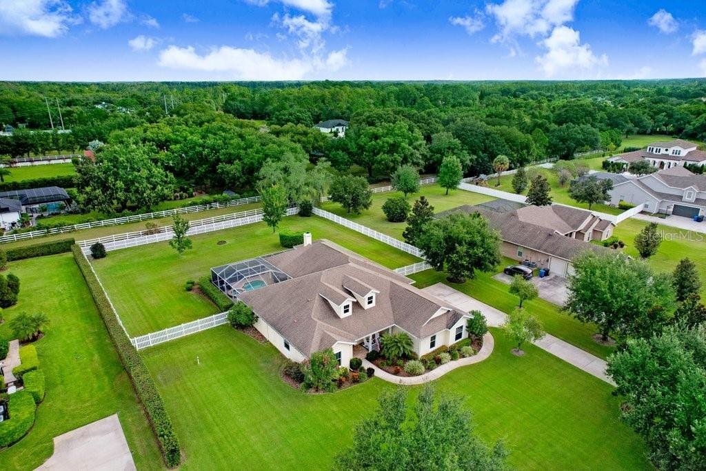 House in Odessa, Florida, United States 1 - 16976912