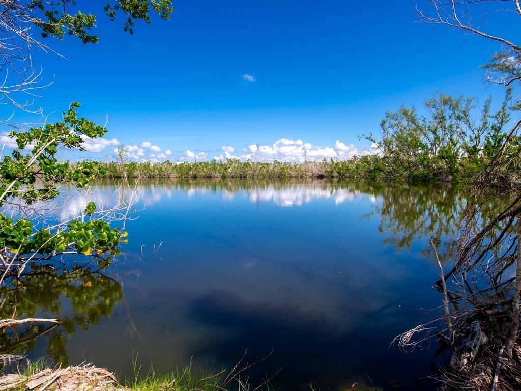 Sanibel, Florida, United States 1 - 16977780