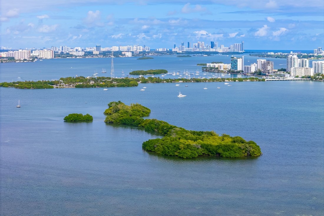 Privatinsel in Miami, Florida, Vereinigte Staaten 4 - 14331654