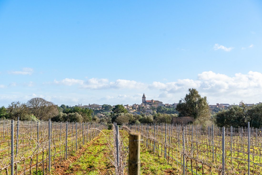 Finca a Sencelles, Isole Baleari, Spagna 5 - 16981246