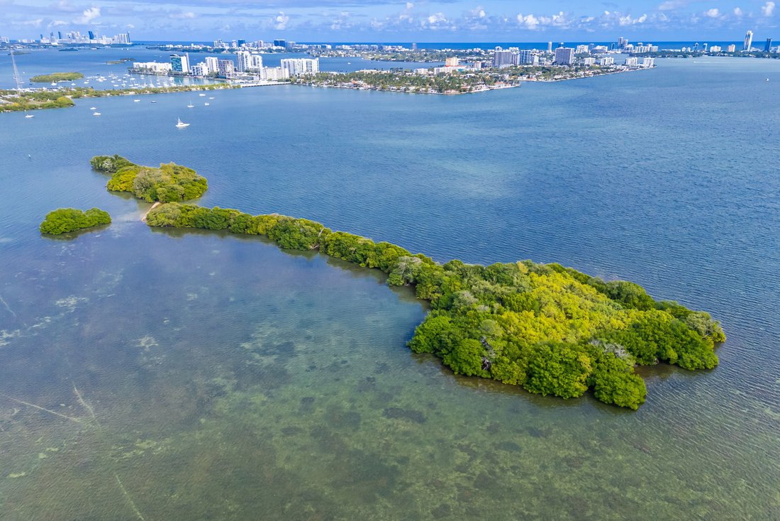 Bird Key — Private island for sale in Miami, United States