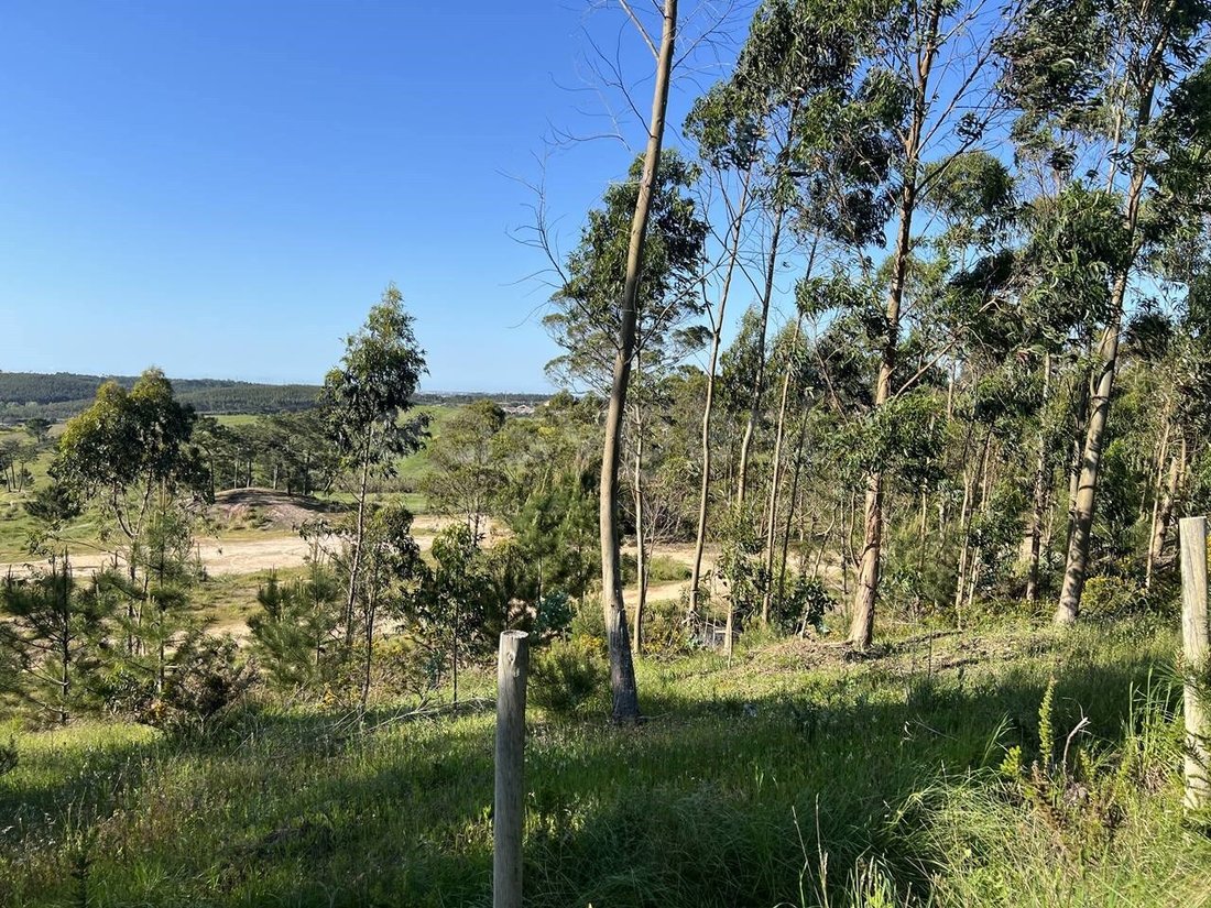 Terreno a Santa Maria, Sao Pedro e Matacaes, Lisbona, Portogallo 5 - 16981711