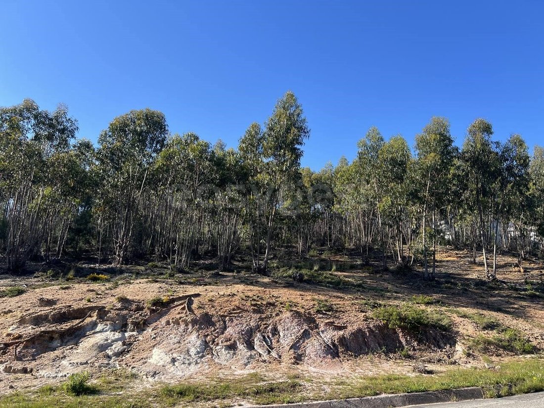 Terreno a Santa Maria, Sao Pedro e Matacaes, Lisbona, Portogallo 4 - 16981711