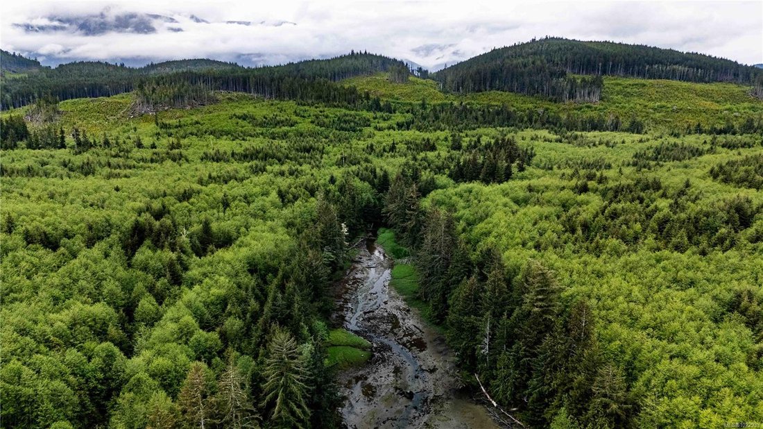 Cracroft, British Columbia, Canada 3 - 16983793