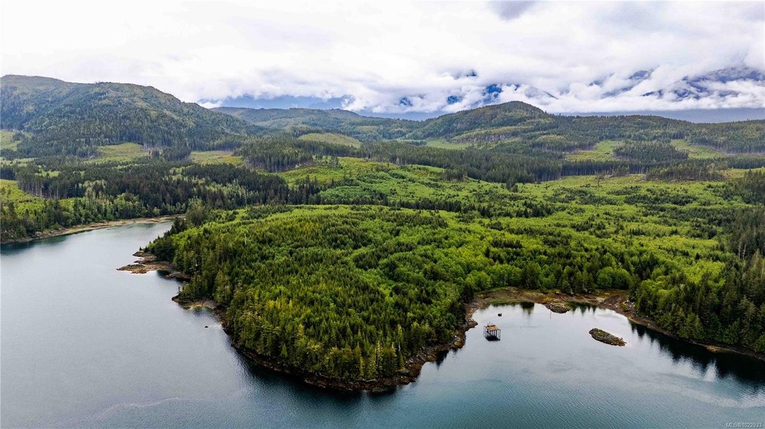 Cracroft, British Columbia, Canada 4 - 16983793