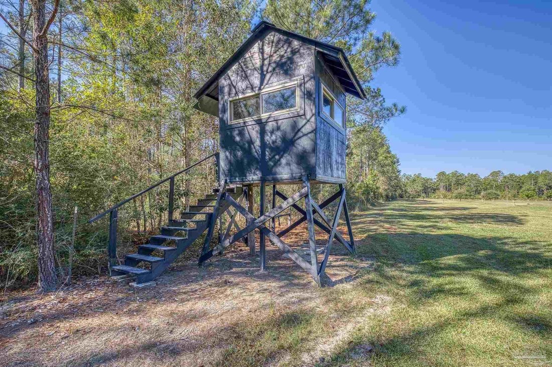 House in Laurel Hill, Florida, United States 5 - 16977188