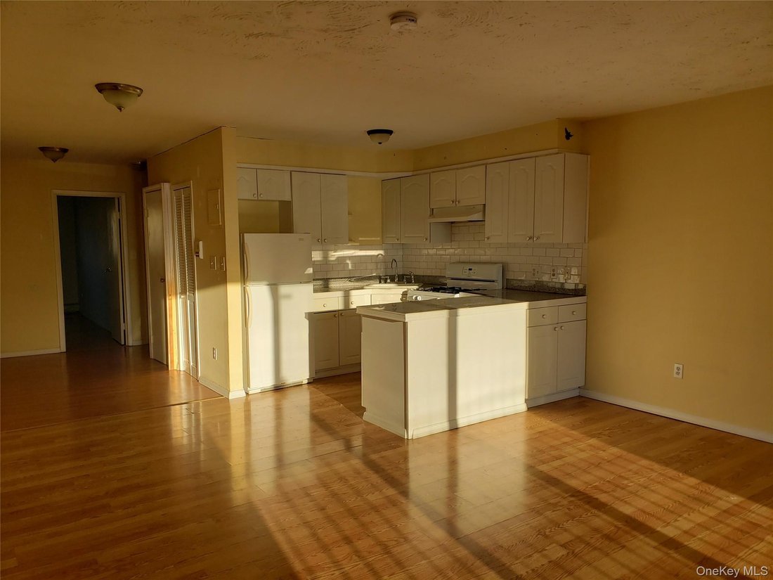 House in New York, New York, United States 3 - 16980855