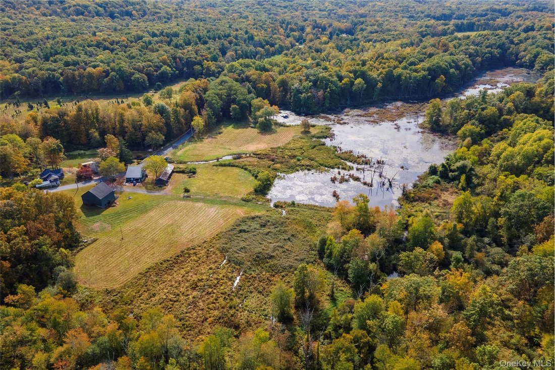 Casa a Rhinebeck, New York, Stati Uniti 2 - 16978244