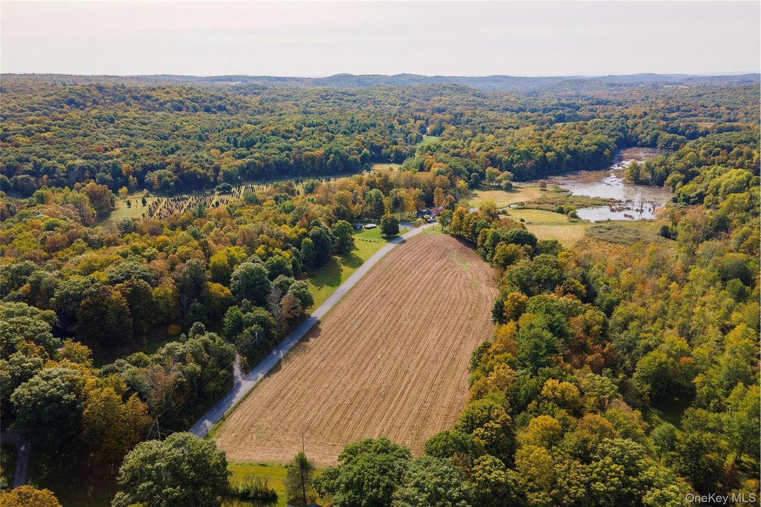 Casa a Rhinebeck, New York, Stati Uniti 3 - 16978244