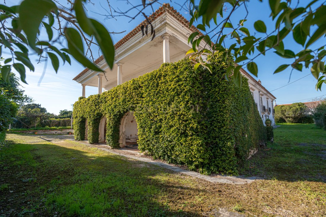 Farm Ranch in Taveiro, Ameal e Arzila, Coimbra District, Portugal 2 - 16983737