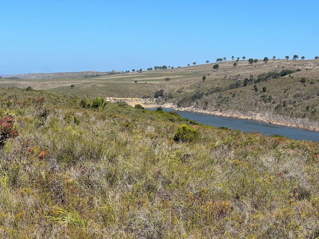 Farm Ranch in Kouga Local Municipality, Eastern Cape, South Africa 2 - 16981768