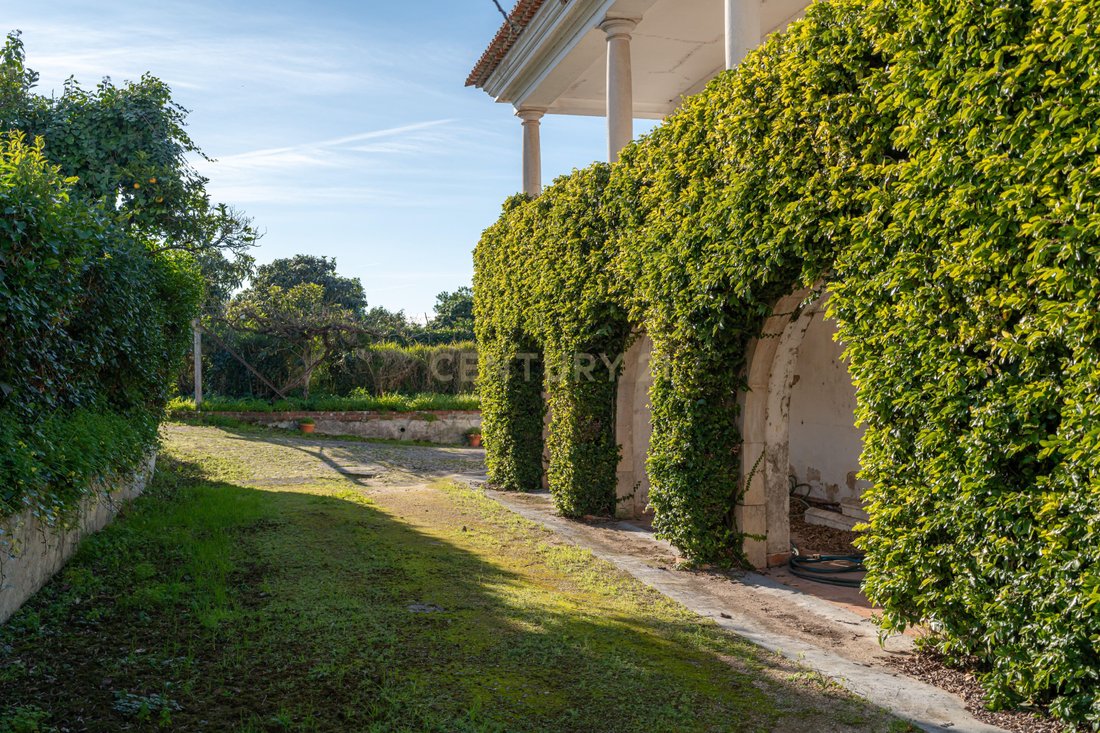 Farm Ranch in Taveiro, Ameal e Arzila, Coimbra District, Portugal 4 - 16983737