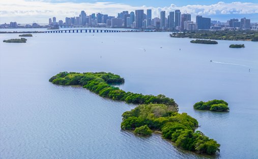 Privatinsel in Miami, Florida, Vereinigte Staaten 1