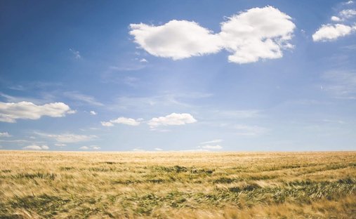 Land in Séné, Bretagne, Frankreich 1