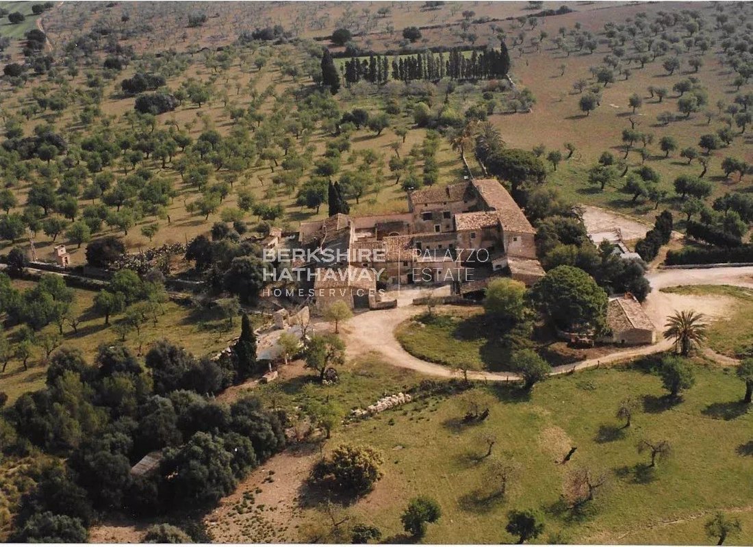 Tenuta a Llubí, Isole Baleari, Spagna 1 - 16983289