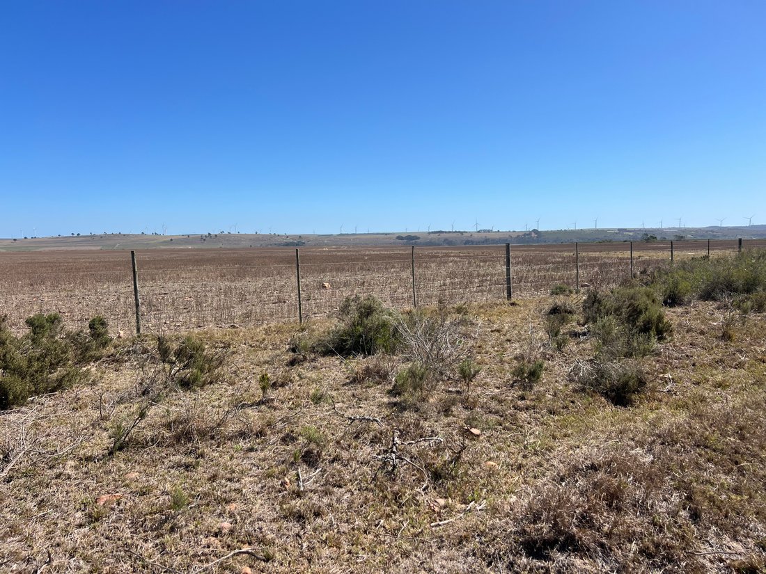 Farm Ranch in Kouga Local Municipality, Eastern Cape, South Africa 4 - 16981768