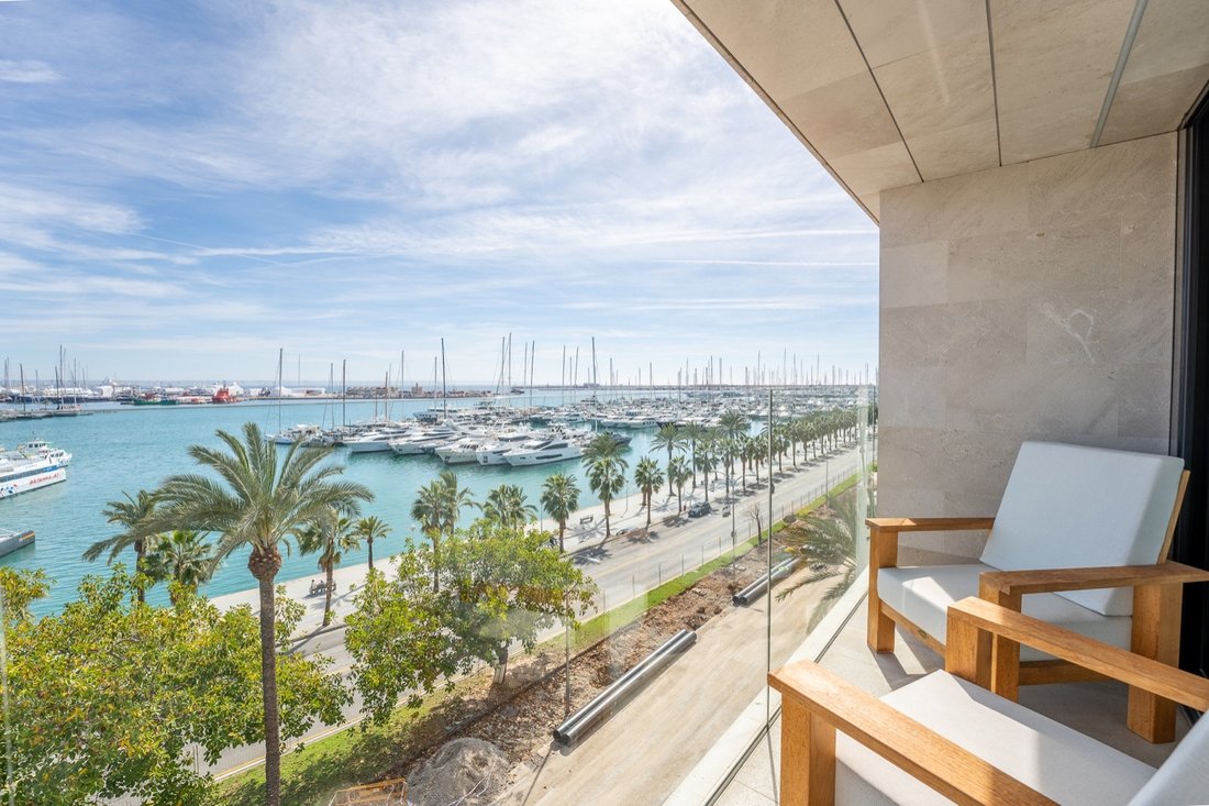 Apartment in Palma, Balearic Islands, Spain 1 - 16981468