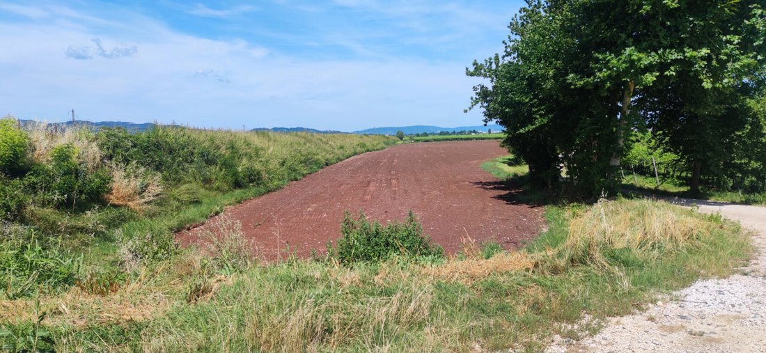 Land in Monteforte d'Alpone, Veneto, Italy 4 - 16984385